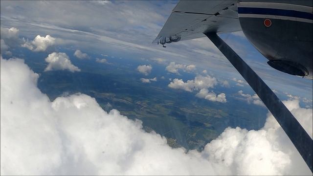 Лошадки