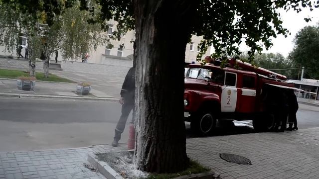 Как тушили дерево перед Януковичем смотреть онлайн