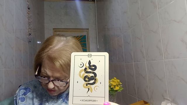 Escape the Pitfalls of Taurus Oracle Card Reproach смотреть онлайн