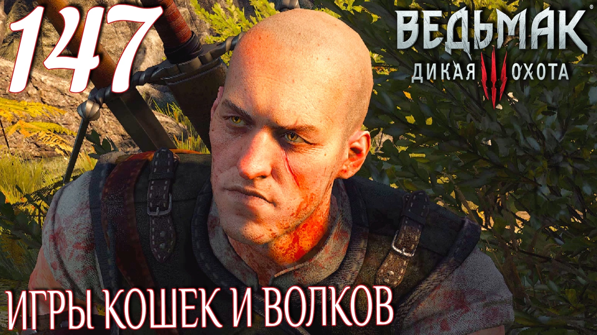 Ведьмак 3: Дикая охота. Прохождение ─ Часть 147: Игры кошек и волков смотреть онлайн
