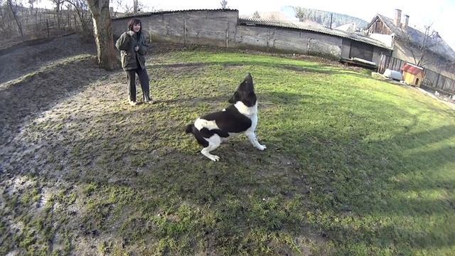 Sony HDR-AS20 120FPS Slow motion смотреть онлайн