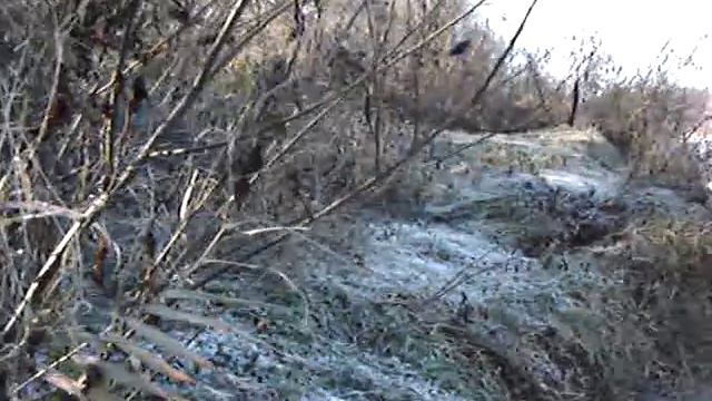Река Сура смотреть онлайн