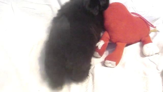 Малыш Юнни 1 месяц и неделя. смотреть онлайн