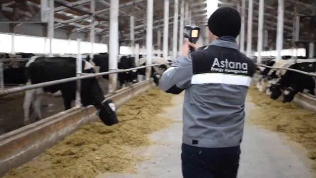 Проведение Энергоаудита в г. Астана смотреть онлайн