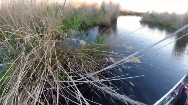 Два сомика за два дня | самая простая снасть смотреть онлайн