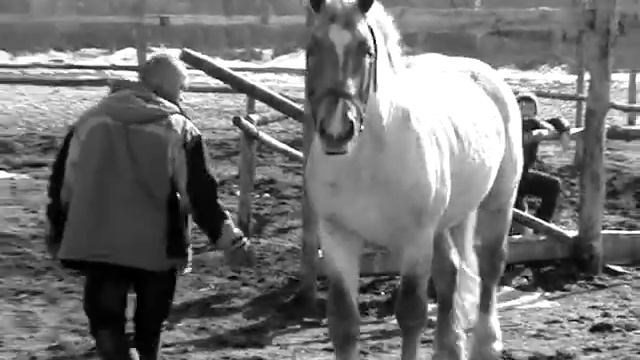 Эверест,Новогуйвинск 2012 смотреть онлайн