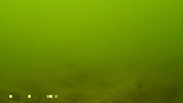 морское дно камбала смотреть онлайн