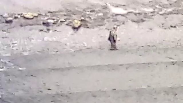 Рыбалка- экстрим смотреть онлайн