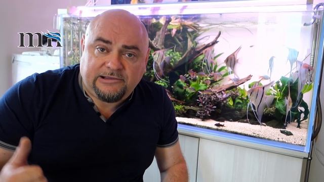 Аквариумистика. Добрые советы новичку. Химия в аквариуме. смотреть онлайн