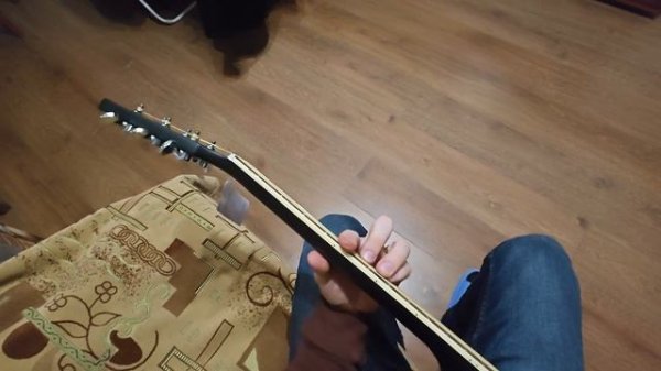 PARKWOOD W81 BKS (распаковка)