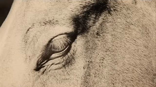 Vernissage/Interview Ralph Gibson à la Galerie Samuel Lallouz смотреть онлайн
