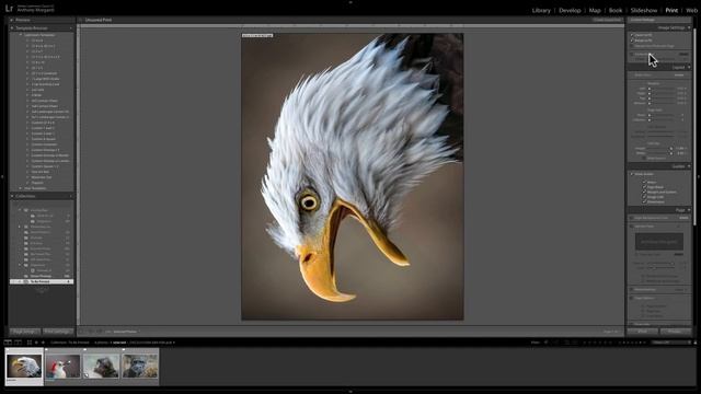 Mastering Lightroom Classic CC - 31: Print Module смотреть онлайн