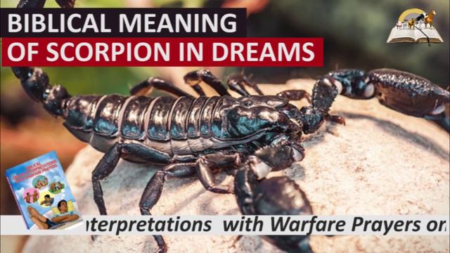 Biblical Meaning of SCORPION in Dreams - Luke 10:19 Prophetic Meaning of Scorpions смотреть онлайн
