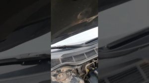 Замена газовых опор капота Camry 40 @interest.