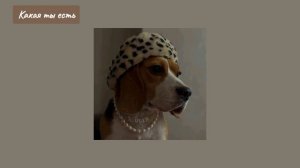 Песни для поднятия женской самооценки и любви к себе