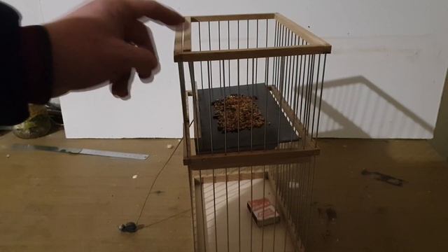 Ловушка для щеглов и прочей певчей птицы. смотреть онлайн