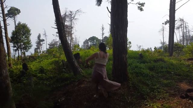 Through the Forest - A Contemporary Dance in El Merendón, Honduras смотреть онлайн