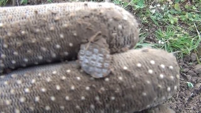 кошелёк серебра!Чешуя