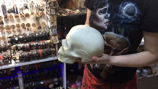 Череп человека анатомический - XLANDBY смотреть онлайн