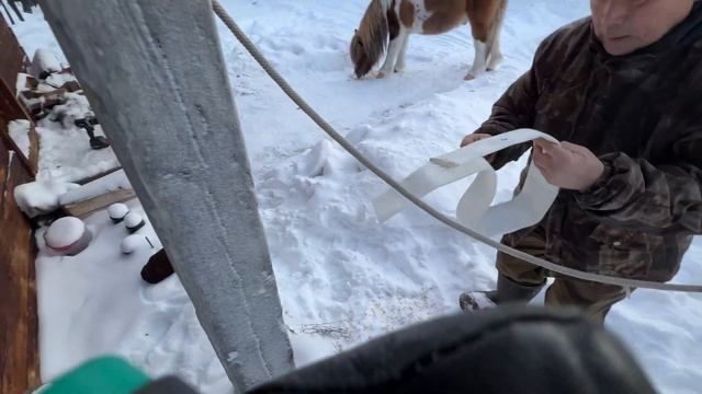 Повесили на коней GPS трекеры! Найдем везде!