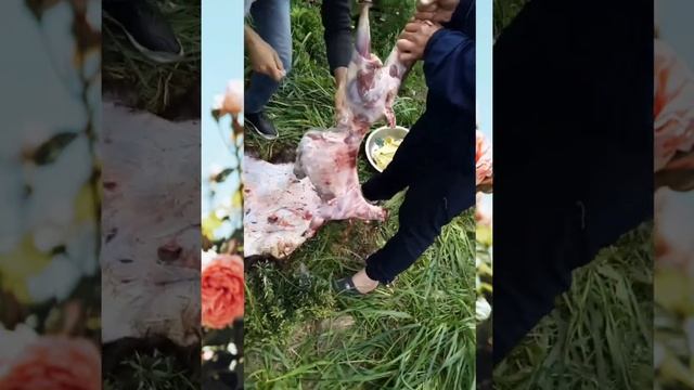 Тарзи куштани гуспанд смотреть онлайн