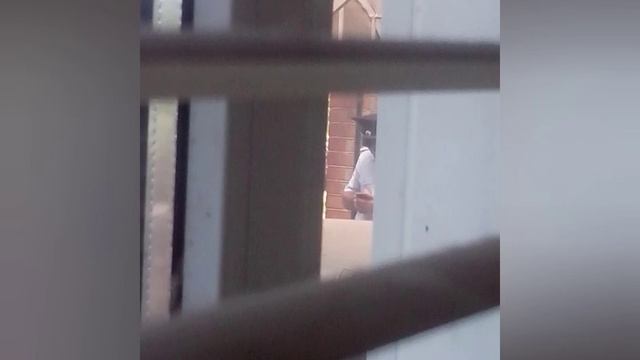 Заявление в дежурную часть о краже машины,оборотнями в погонах. Бездействие полиции,полныйбеспредел смотреть онлайн