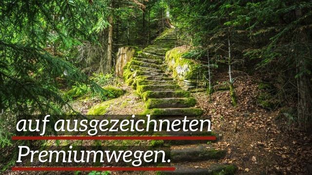 Bad Teinach - Urlaub im Schwarzwald смотреть онлайн
