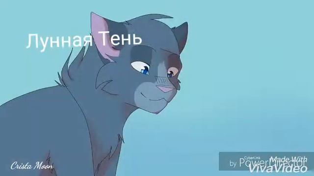 Коты-воители клип:Моя любовь (заказ) смотреть онлайн