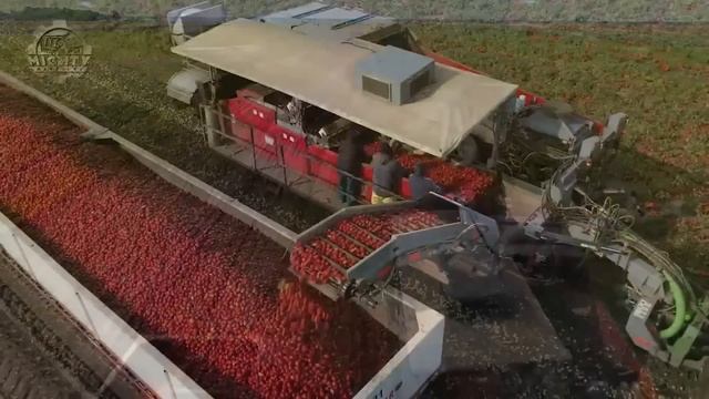 Modern Agriculture Machines You Need To See | Pumpkin Seed Harvesting смотреть онлайн