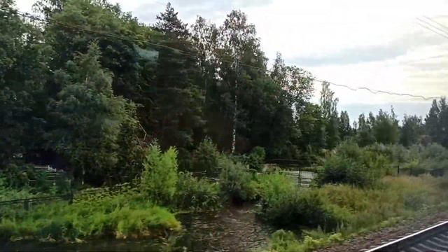 РЖД "Сапсан" Санкт-Петербург-Москва скоростной поезд вид из окна скорость 200км/ч смотреть онлайн