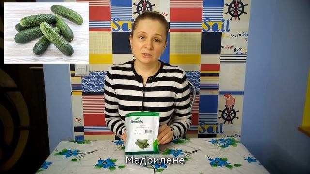 ОТЛИЧНЫЙ ОГУРЕЦ КОТОРЫЙ МЫ СЕЕМ УЖЕ 4 ГОДА И НА ВЕСНУ И НА ОСЕНЬ смотреть онлайн