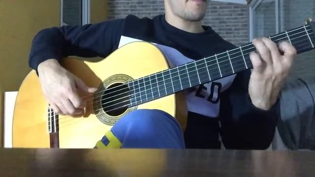 Taranta - Vicente Amigo / Flamenco guitar смотреть онлайн