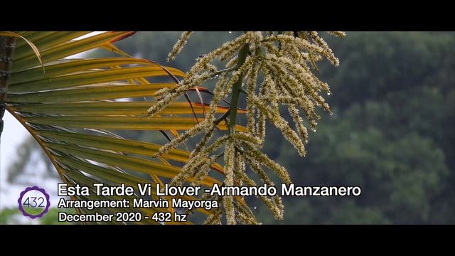 Esta Tarde Vi Llover - Armando Manzanero Native Instruments Kontakt Steinway Walker 1955 - 432kz смотреть онлайн