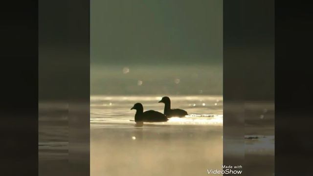 Мы должны их любить смотреть онлайн