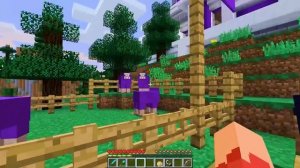 Aphmau Tricks The ALPHA WOLF In Minecraft!