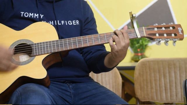 Pehle Bhi Main | Animal | Vishal Mishra | Guitar Chords/Intro Lesson смотреть онлайн