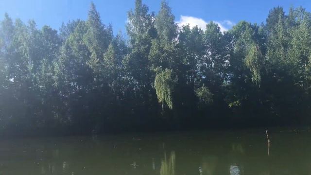 Где я люблю, проводить своё свободное время🐾😊❤️ смотреть онлайн