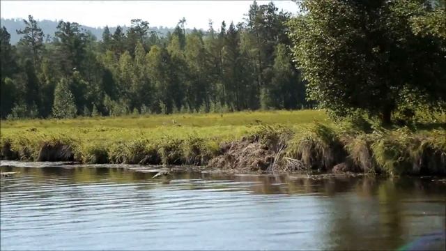 Селенга Саша Байкальский смотреть онлайн