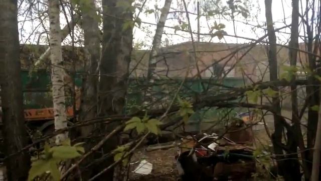 незаконная мусорка в СНТ п. Софрино смотреть онлайн