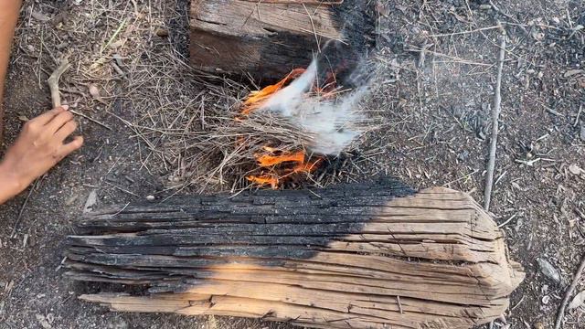 ALMOÇO EM MEIO A NATUREZA NO AMAZONAS /PEIXE FRITO смотреть онлайн