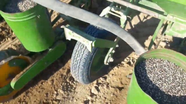 Макта егуі (Посев хлопчатника) 2018 Большевик смотреть онлайн