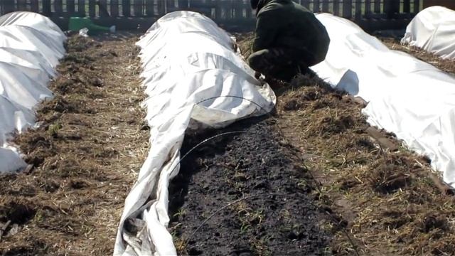 процесс полива редиса под агроволокном в рукопашную смотреть онлайн