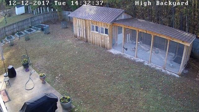 Hawk Attack on Chicken Coop смотреть онлайн