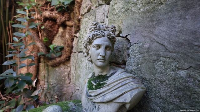 Which Is Best? Canon RF 15-35mm Vs Canon RF 50mm F1.8 STM