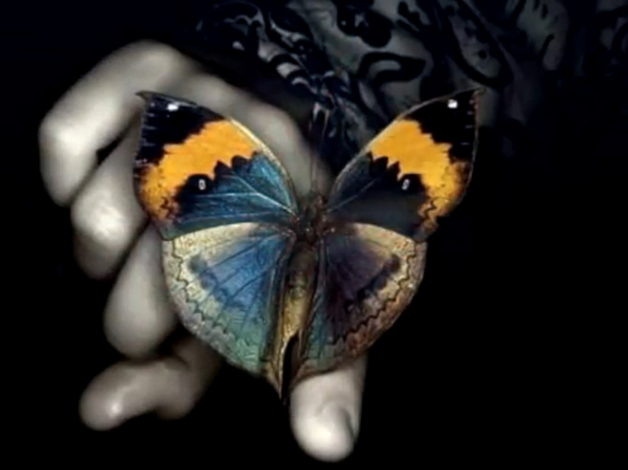 mariposas en mi cabeza... смотреть онлайн