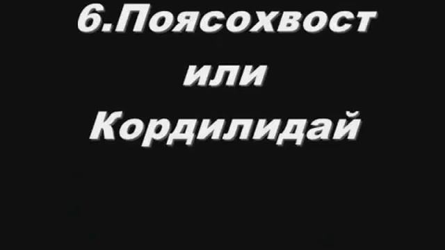 Топ 10 странных животных смотреть онлайн