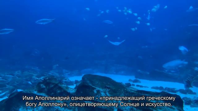 Значение имени Аполлинарий. Толкование, судьба, характер смотреть онлайн