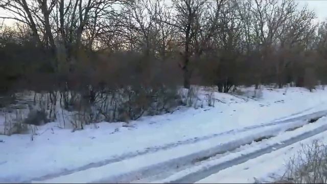 Охота на Волка 🐺 нашли первого подранка! 2я - часть смотреть онлайн