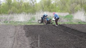 Посадка картофеля мотоблоком Нева с адаптером