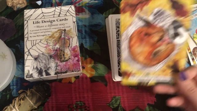 My Entire Oracle Deck Collection! смотреть онлайн